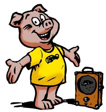 Pignose Amps